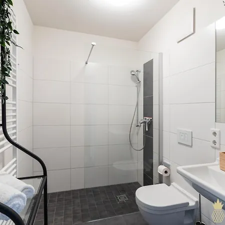 Pineapple Studio-apartment Am Zwinger Apartment Dresden